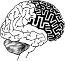 AREADNE Brain/Maze Logo